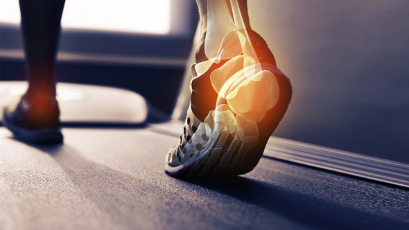 Kinesitherapie Du Sport Kine Lille Formation